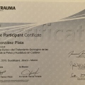 Ampliar imagen: certificate 16