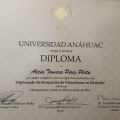 Ampliar imagen: certificate 13