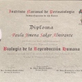 Ampliar imagen: certificate 12