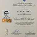 Ampliar imagen: certificate 4