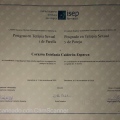Ampliar imagen: certificate 4