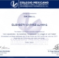 Ampliar imagen: certificate 7