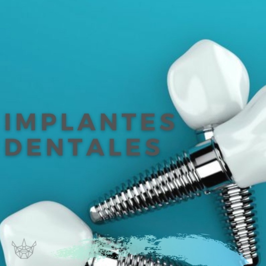 María Fernanda Ávila Gaona-0