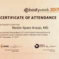 Ampliar imagen: certificate 13