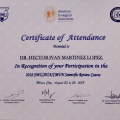 Ampliar imagen: certificate 4