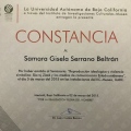 Ampliar imagen: certificate 5