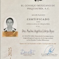 Ampliar imagen: certificate 2