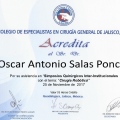 Ampliar imagen: certificate 13