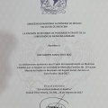 Ampliar imagen: certificate 6