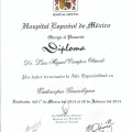 Ampliar imagen: certificate 11