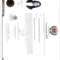 Ampliar imagen: certificate 2