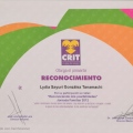 Ampliar imagen: certificate 6