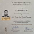 Ampliar imagen: certificate 5