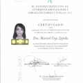 Ampliar imagen: certificate 9