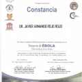 Ampliar imagen: certificate 43