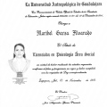 Ampliar imagen: certificate 6