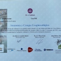 Ampliar imagen: certificate 8
