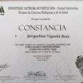 Ampliar imagen: certificate 4