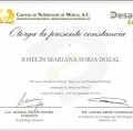 Ampliar imagen: certificate 4