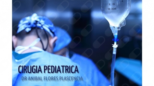 Anibal Enrique Flores Plascencia-4