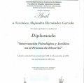 Ampliar imagen: certificate 6