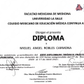Ampliar imagen: certificate 21