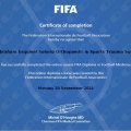 Ampliar imagen: certificate 10