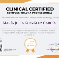 Ampliar imagen: certificate 2