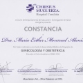 Ampliar imagen: certificate 2