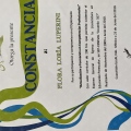 Ampliar imagen: certificate 5