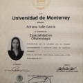 Ampliar imagen: certificate 1