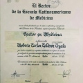 Ampliar imagen: certificate 3