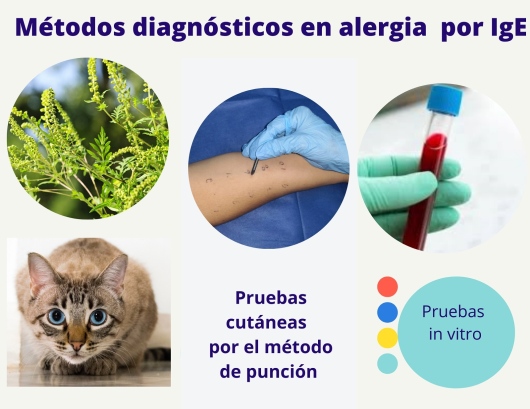 María Enriqueta Nuñez Nuñez-7