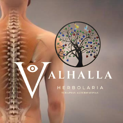 Valhalla Herbolaria Y Terapias Alternativas Terapeuta complementario en Toluca de Lerdo México Valhalla Herbolaria Y Terapias Alternativas Terapeuta complementario en Toluca de Lerdo México