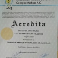 Ampliar imagen: certificate 3