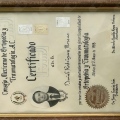 Ampliar imagen: certificate 3