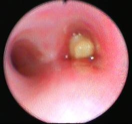 Carlos Alejandro De Alba De Lira-5