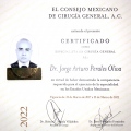 Ampliar imagen: certificate 11