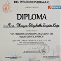 Ampliar imagen: certificate 3