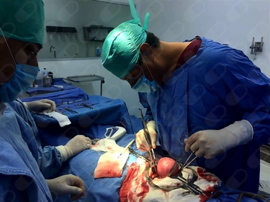 Marco Aurelio Corona Hernandez-47