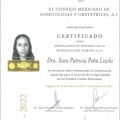 Ampliar imagen: certificate 3