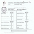Ampliar imagen: certificate 5