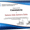 Ampliar imagen: certificate 5