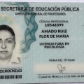 Ampliar imagen: certificate 2