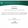 Ampliar imagen: certificate 9
