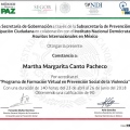 Ampliar imagen: certificate 8