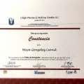 Ampliar imagen: certificate 13