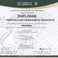 Ampliar imagen: certificate 2