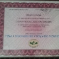Ampliar imagen: certificate 6