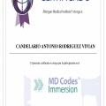 Ampliar imagen: certificate 7